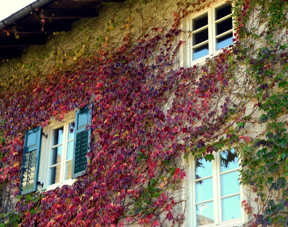 Apartment Im Garten 9 Gargazzone Luaran gambar